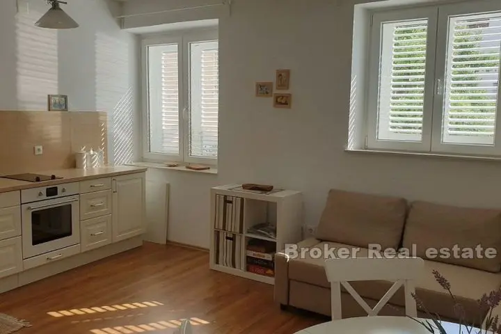 Two bedroom apartment in the center