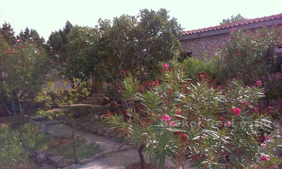 Parhus med medelhavs trädgård