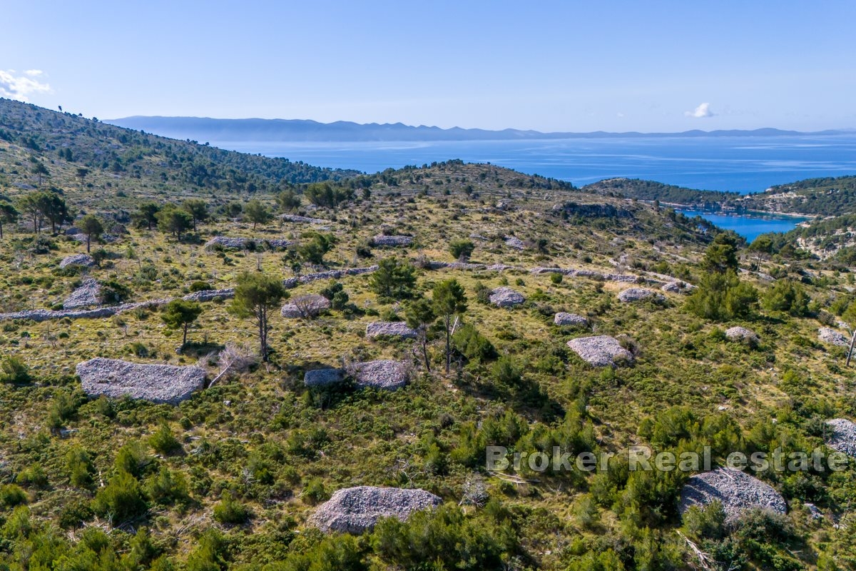 Spacious agricultural land with a sea view