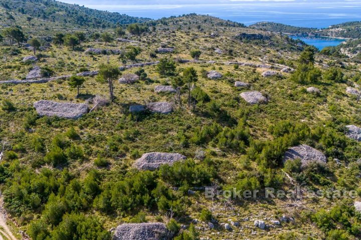 Spacious agricultural land with a sea view