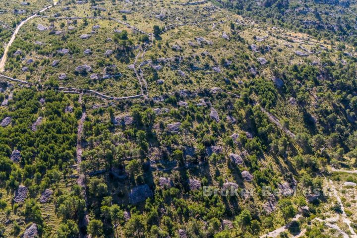 Spacious agricultural land with a sea view