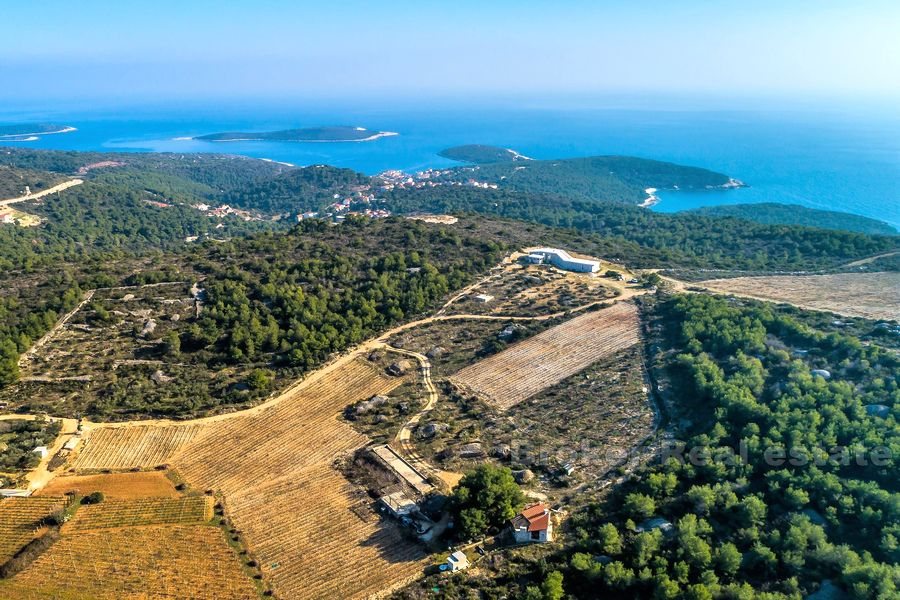 An idyllic estate on the island of Vis, for sale