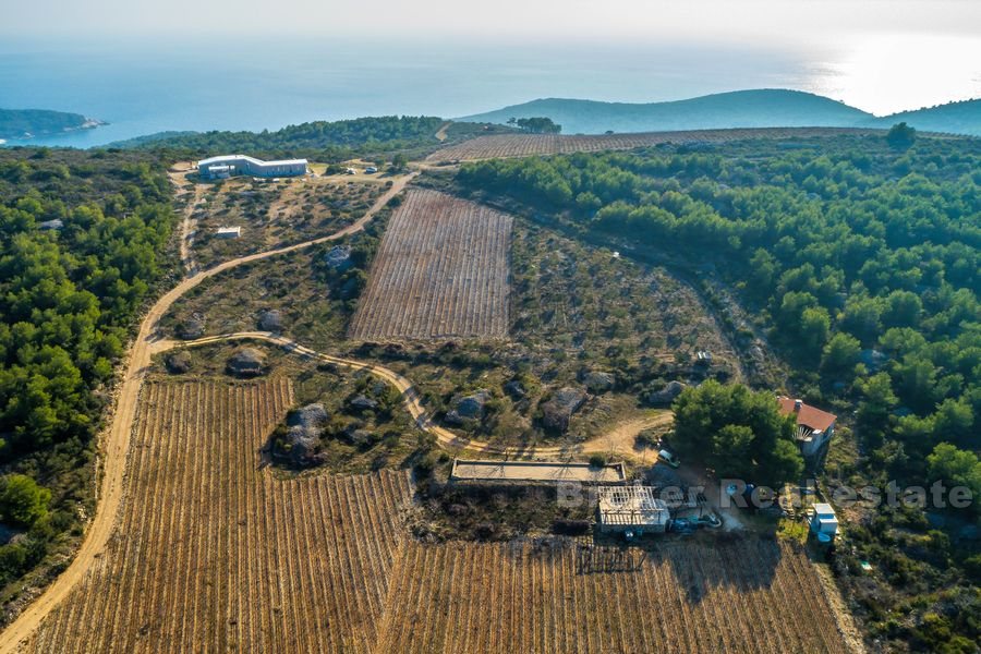 An idyllic estate on the island of Vis, for sale