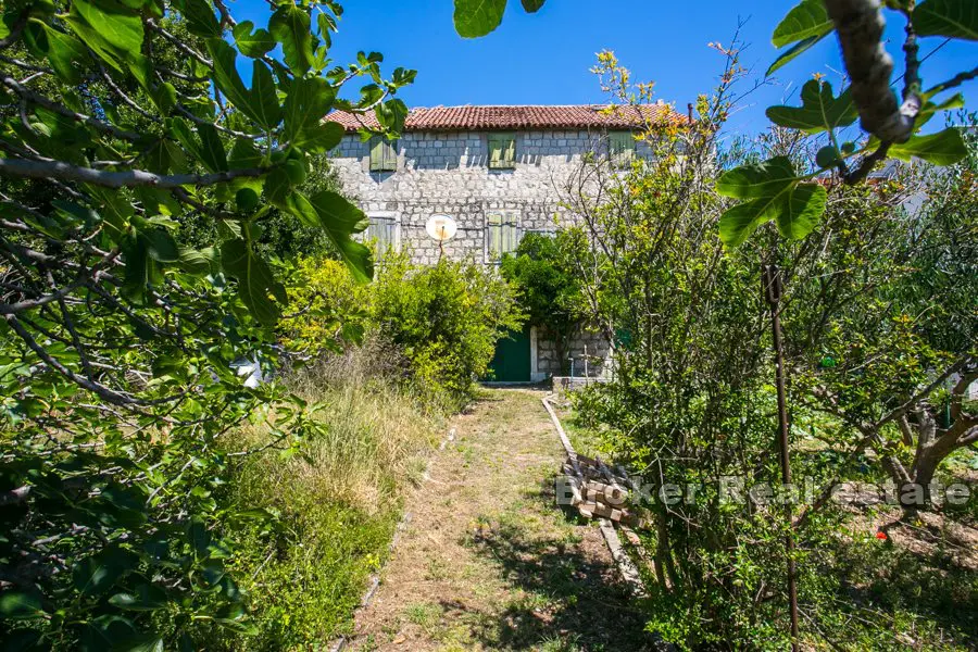 Ein altes dalmatinisches Steinhaus