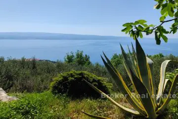 Et hus i naturen med panoramautsikt over havet