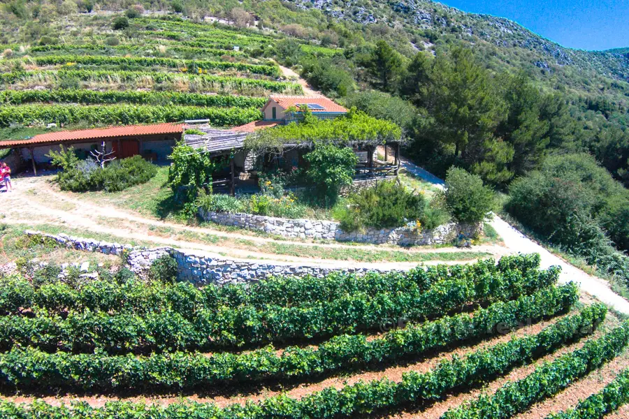 Hus på en vacker vingård på 12 000 m2