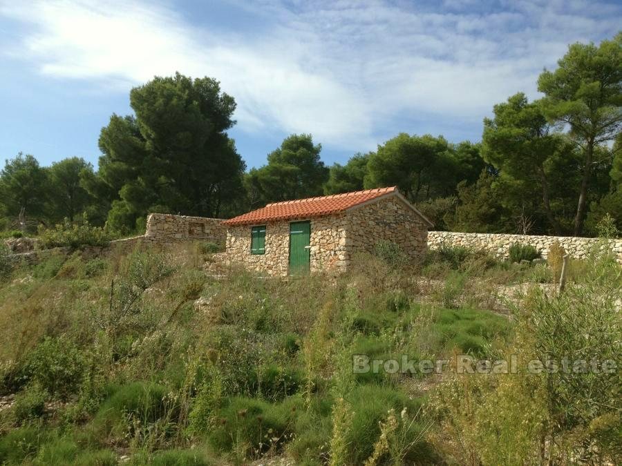 Stone house for reconstruction, island of Brac