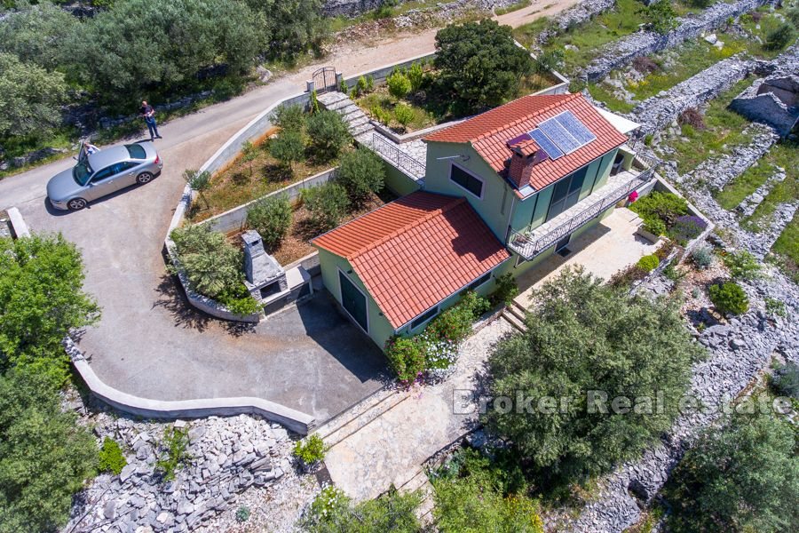 House with olive grove in an exceptional location