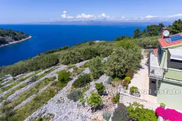 House with olive grove in an exceptional location