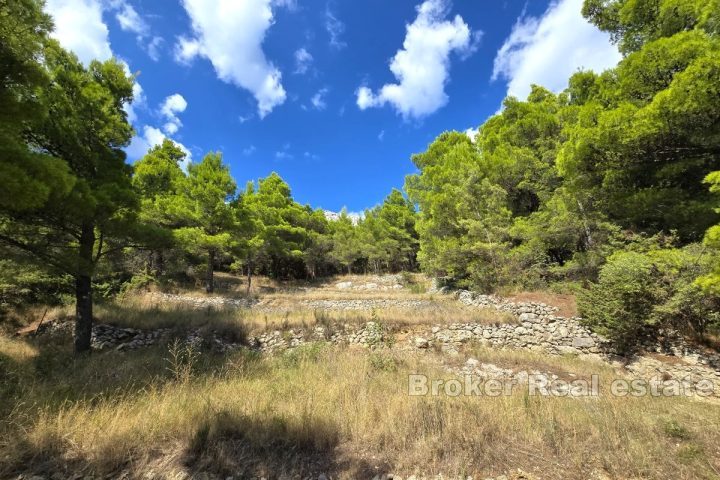 Terreno con vista mare e concessione edilizia