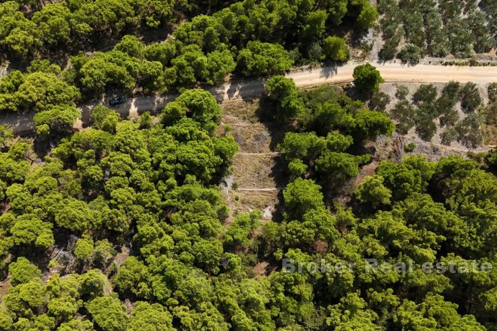 Terreno con vista mare e concessione edilizia