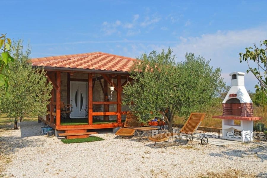 Просторный дом с несколькими жилыми единицами и оливковой рощей