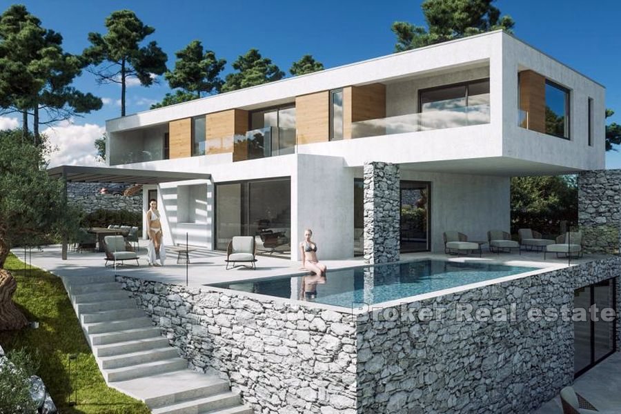 Modern villa with sea view