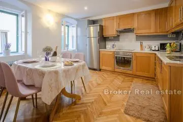 Newly renovated apartment in the very center of the city