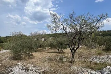 001-2046-23-Omis-Spacious-building-plot-for-sale