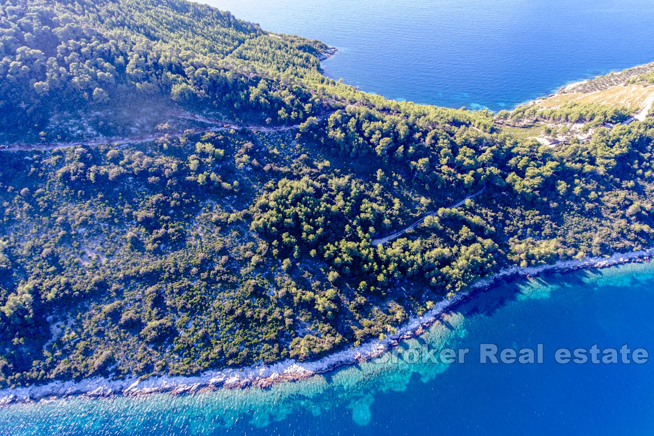 Building land by the sea, for sale.