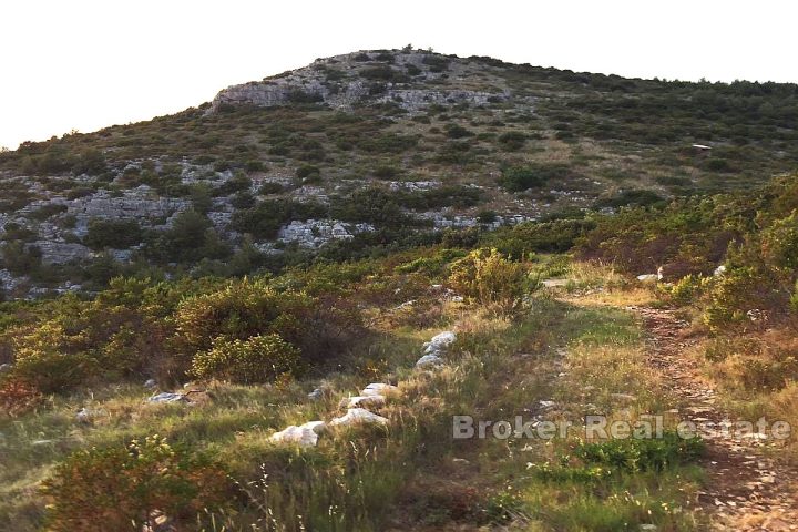 Attractive land by the sea