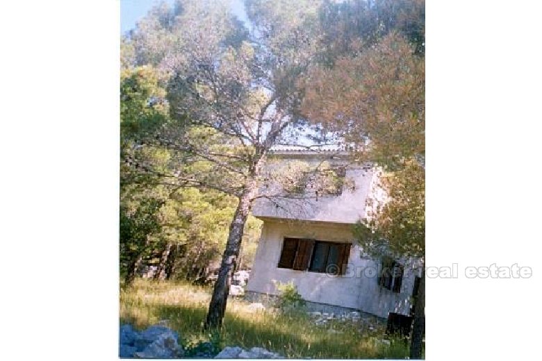 A house in the natural surroundings of pine forest