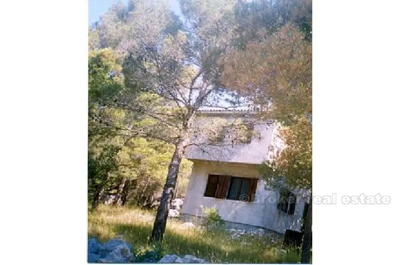 Una casa nell'ambiente naturale della pineta
