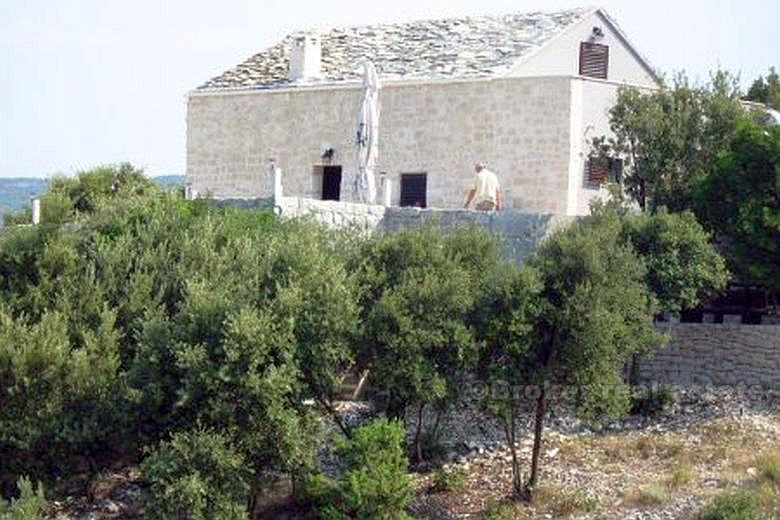 Nybyggt hus med olivlund, till salu