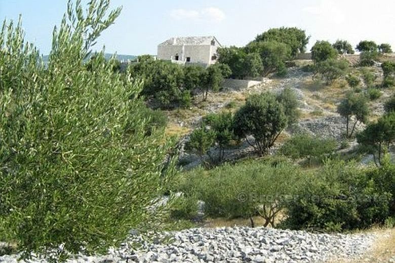 Недавно построенный дом с оливковой рощей, для продажи