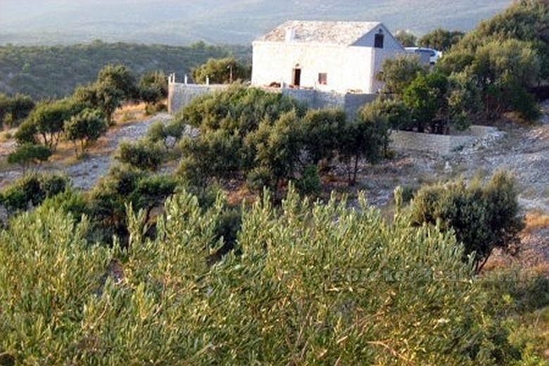 Nowo wybudowany dom z gaju oliwnym, na sprzedaż