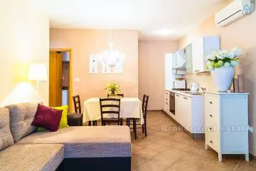 Newly renovated apartment in the city center