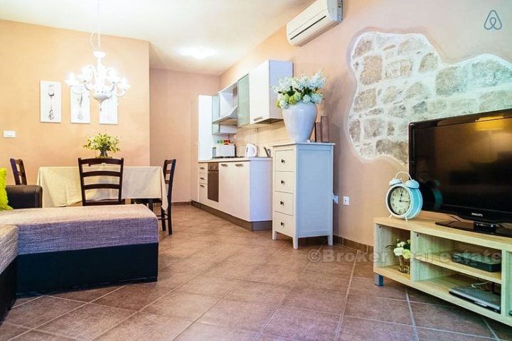 Newly renovated apartment in the city center