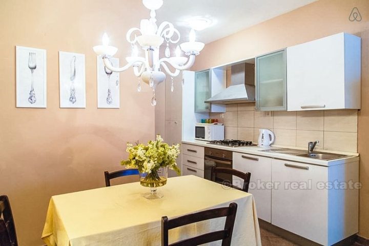 Newly renovated apartment in the city center