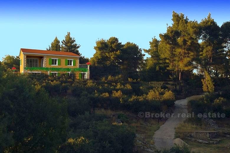Completely renovated old house, for sale