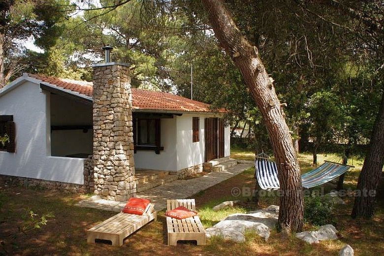 Bella piccolo bungalow nella pineta, in vendita