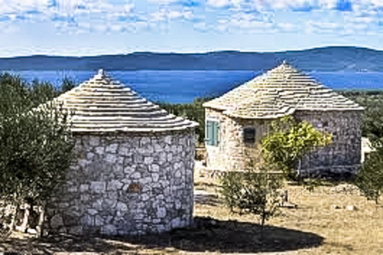 Två hus med olivlund