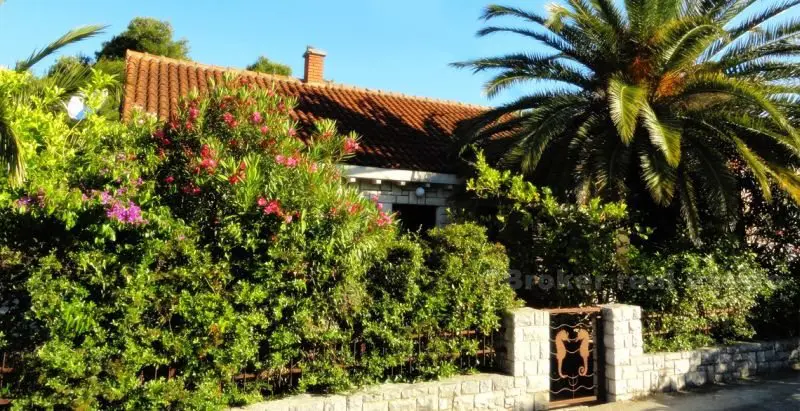 Hus / Villa omgiven av trädgård