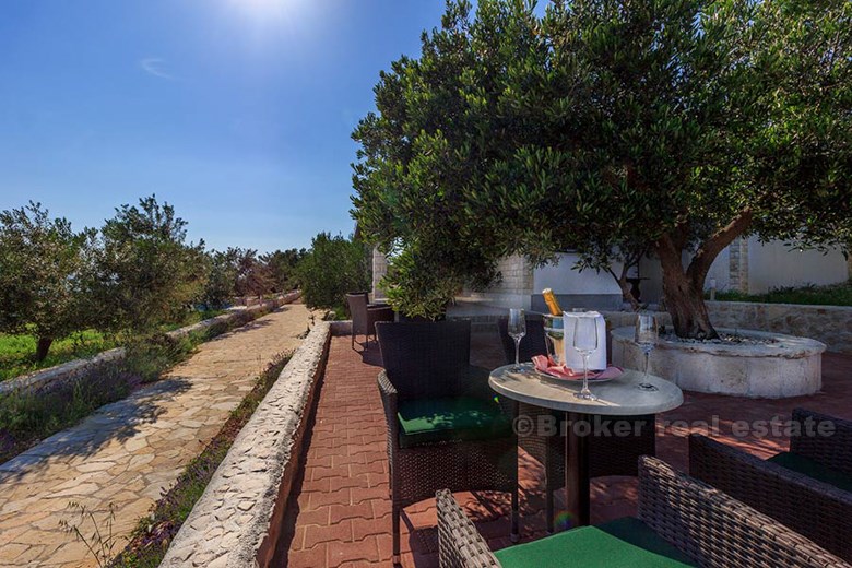 Charming villa by the sea, for rent