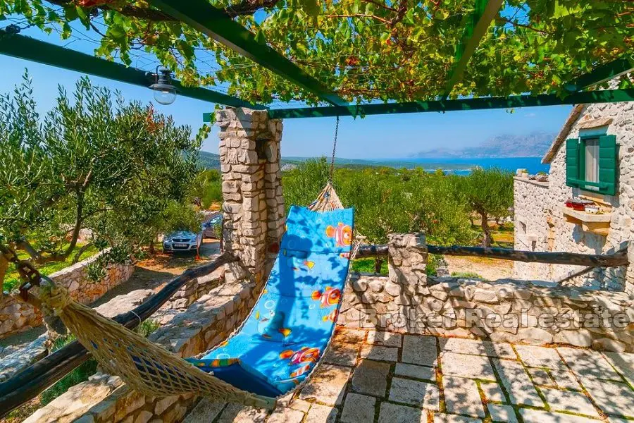 Kamienny dom z gajem oliwnym i widokiem na morze