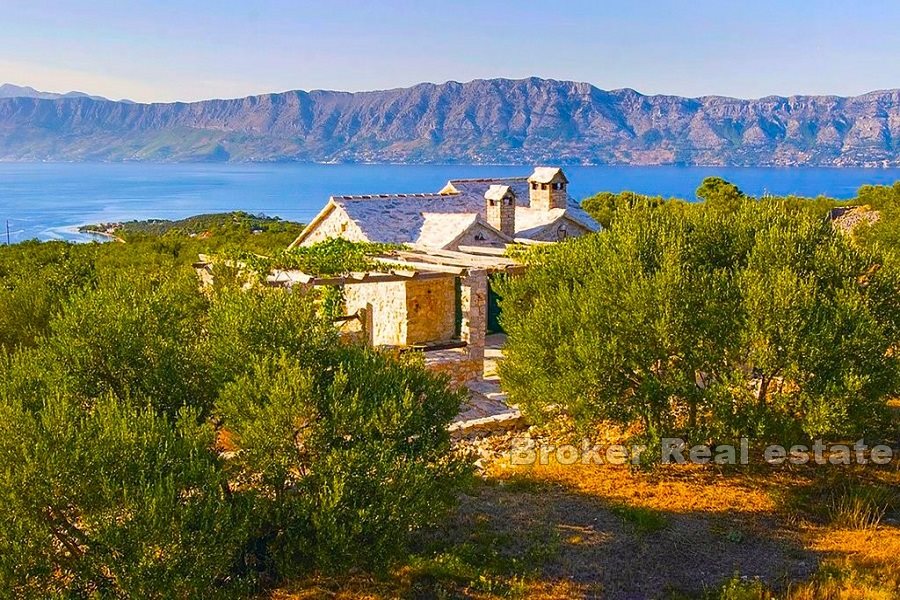 Kamienny dom z gajem oliwnym i widokiem na morze