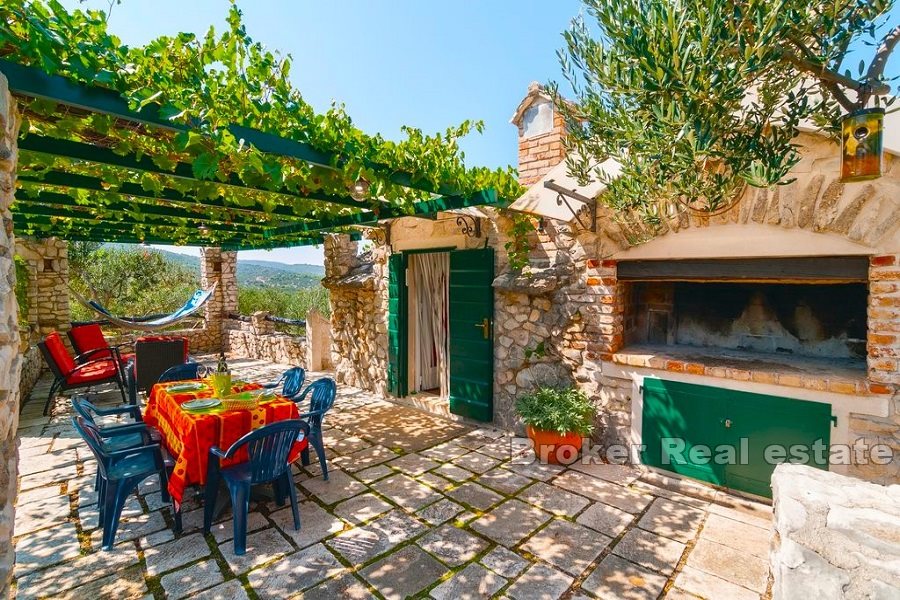 Stone house with olive grove and sea view