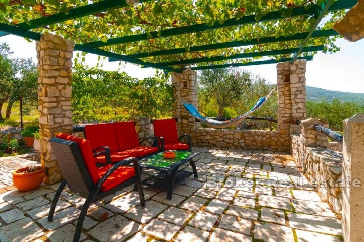 Stone house with olive grove and sea view