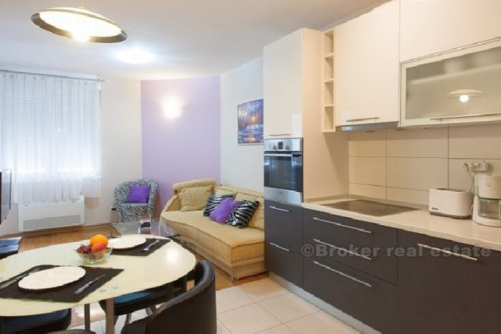 Modern one bedroom apartment, district Zenta, rent for a short period