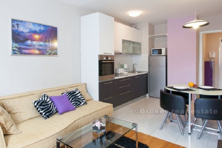 Modern one bedroom apartment, district Zenta, rent for a short period