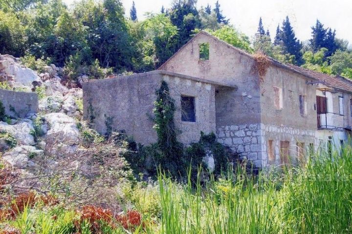 Old house with large land, for sale