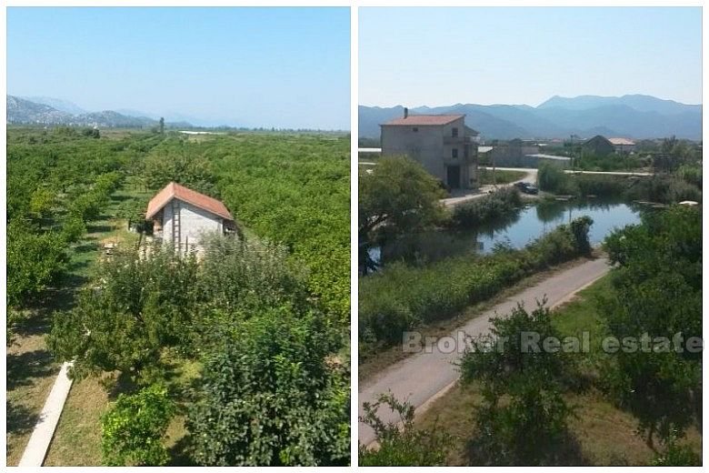 House in the Neretva valley, for sale