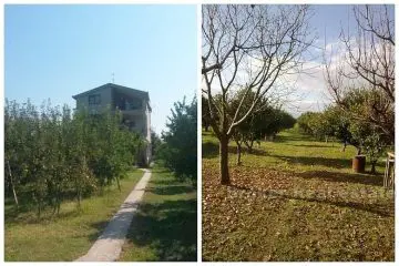 House in the Neretva valley, for sale