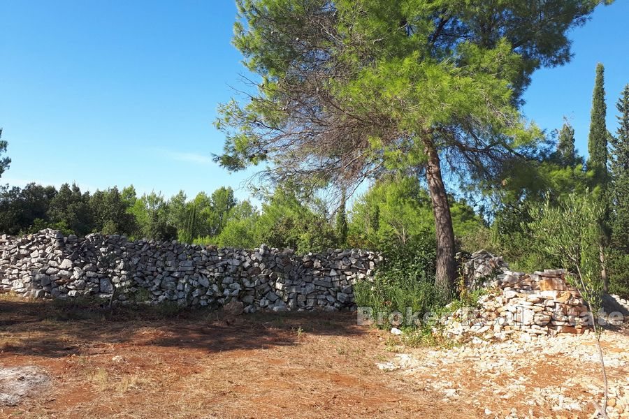 Terrain agricole avec une ruine en pierre