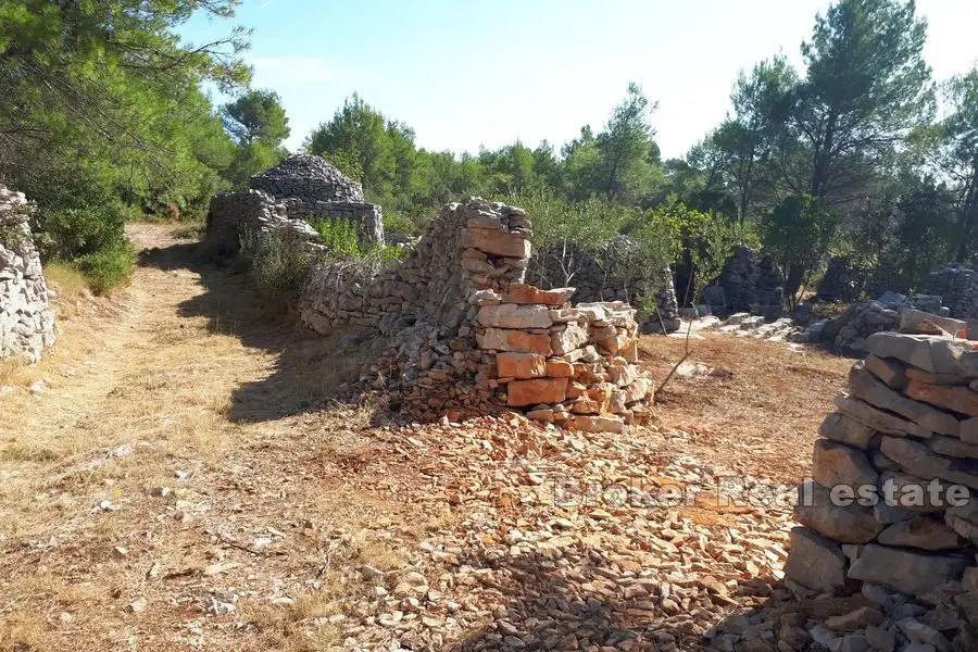 Terrain agricole avec une ruine en pierre